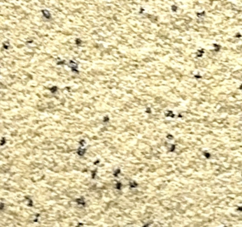 Stone Finish shade 100
